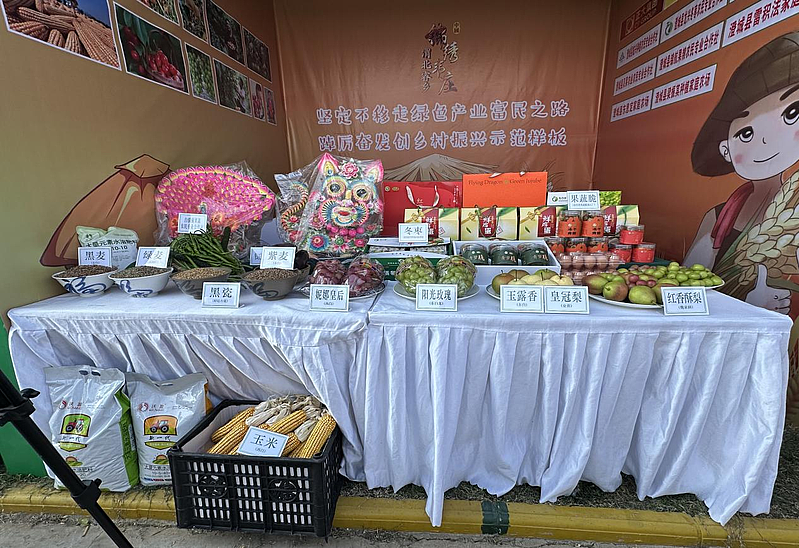 金秋盛宴 共慶豐收——韋莊鎮(zhèn)參加澄城縣“學(xué)習(xí)‘千萬工程’，禮贊豐收中國”2024年中國農(nóng)民豐收節(jié)活動